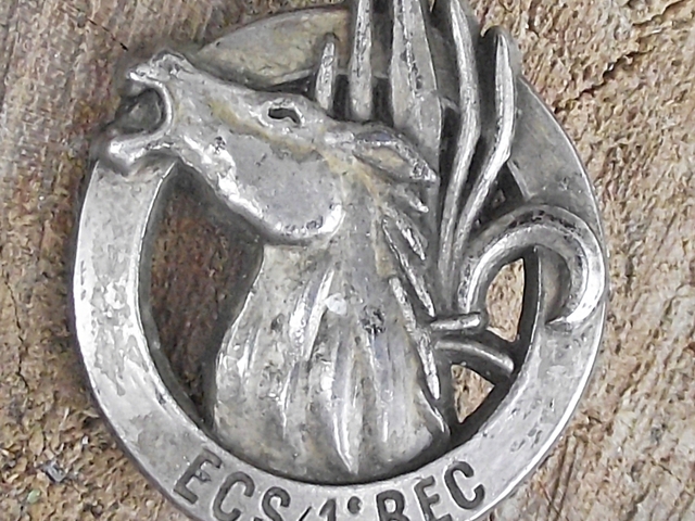 1° Regiment Etrangere de Cavalerie, Escadron de commandement et des services, ECS