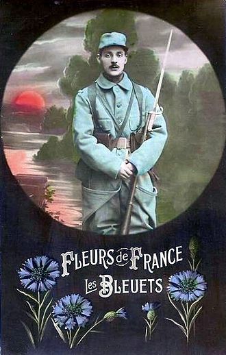 330px-cpa_bleuet_de_france_1914-1918.jpg
