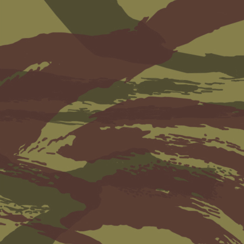 french_lizard_pattern_camo.jpg