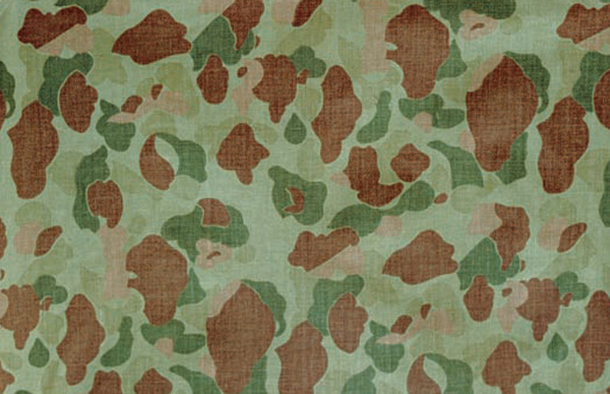 frog_skin_camouflage_pattern.jpg