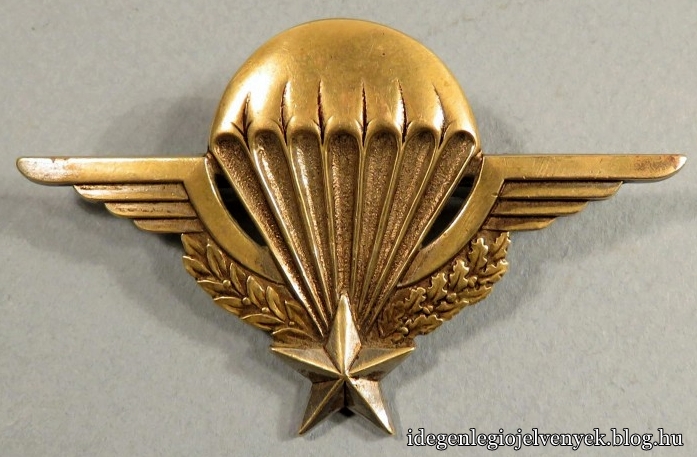 insigne-militaire-brevet-parachutiste-numerote-37824-1949-indochine-drago-paris-romainville.jpg