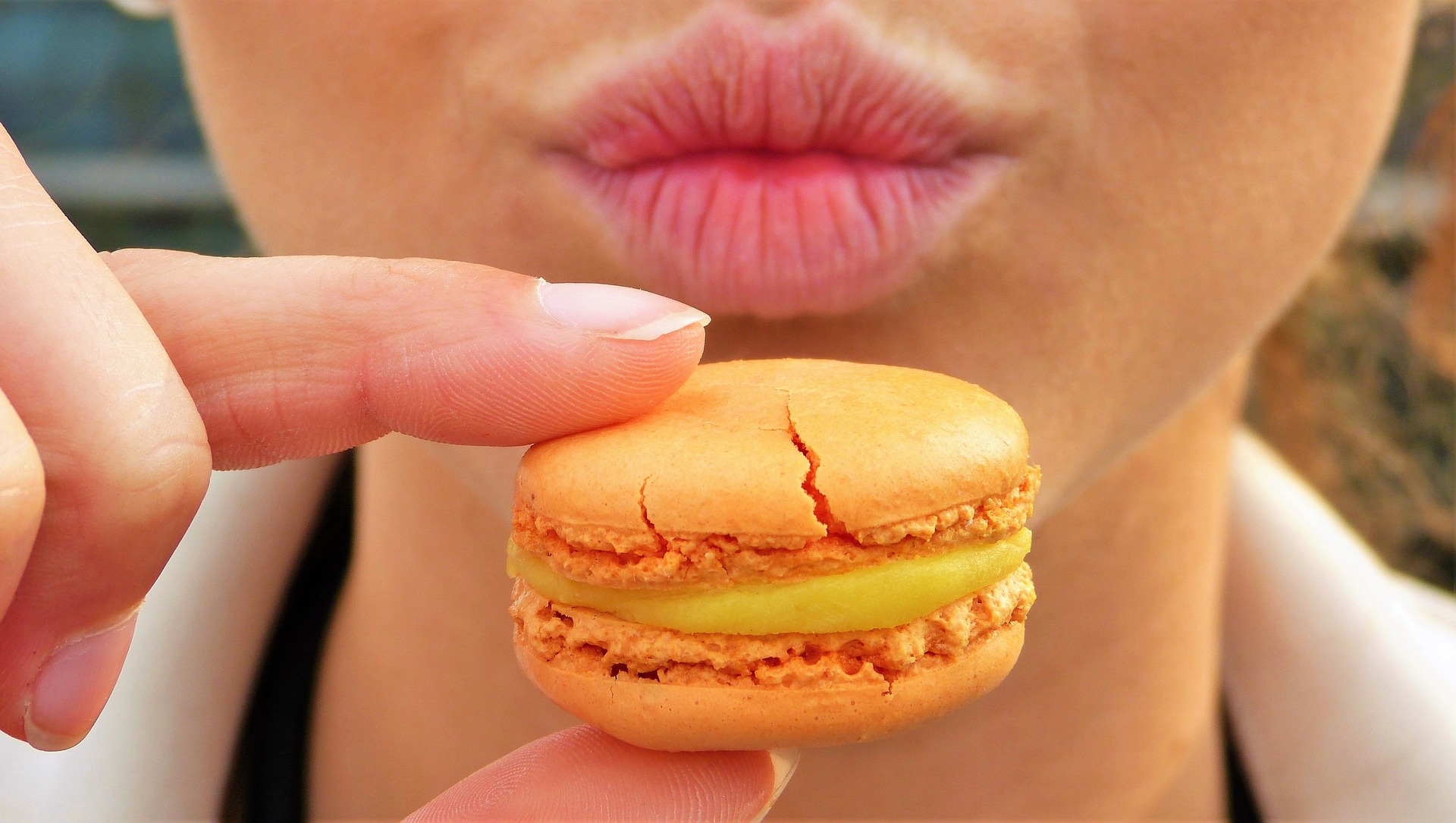 macaron-2462247_1920.jpg