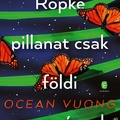 Kritika Ocean Vuong Röpke pillanat csak földi ragyogásunk című regényéről