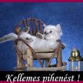 Kellemes Pihenést!