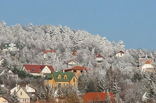 A Tervtanács – 2. Ízlések Háborúja, az akváriumtól a géppuskaállásig