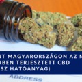 Megjelent Magyarországon az MLM rendszerben terjesztett CBD (kannabisz hatóanyag)