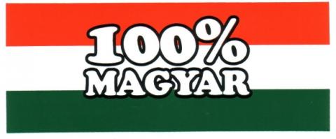 100magyar.jpg