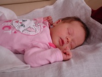 DSC04774.JPG