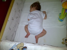 IMG-20120828-00082.jpg