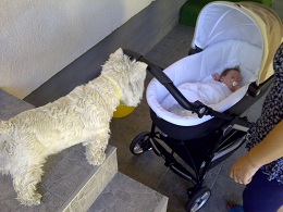 IMG-20120908-00092.jpg