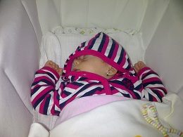 IMG-20120917-00120.jpg