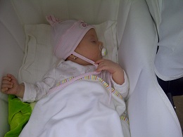 IMG-20120927-00127.jpg