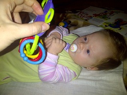 IMG-20121016-00183_2.jpg