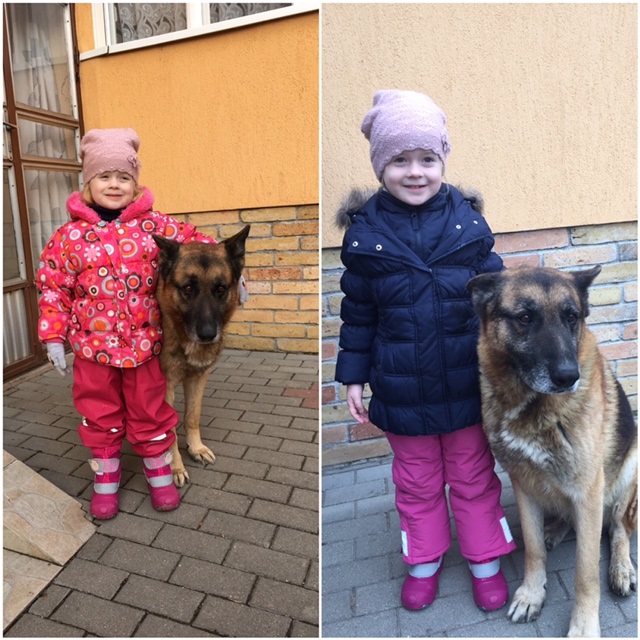 disznotor2016dec.jpg