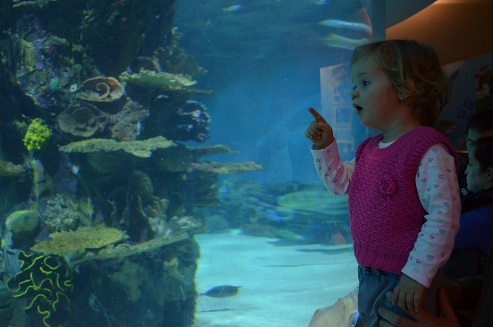 tropicarium.jpg