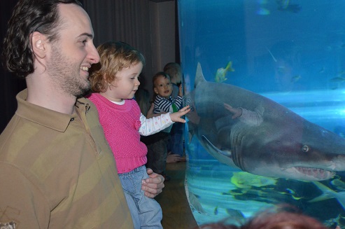 tropicarium2.jpg