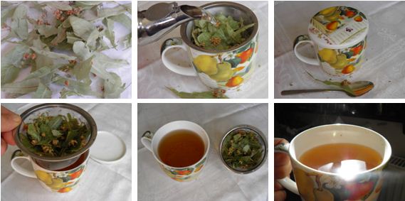 hársfa tea készítése.JPG