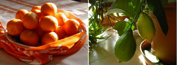 narancs citrom konyhában.JPG