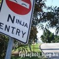 Csak Nindzsák!