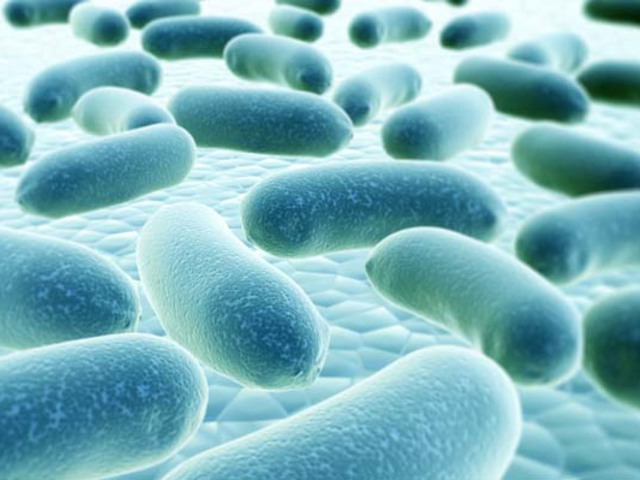 A nagy probiotikum átverés?