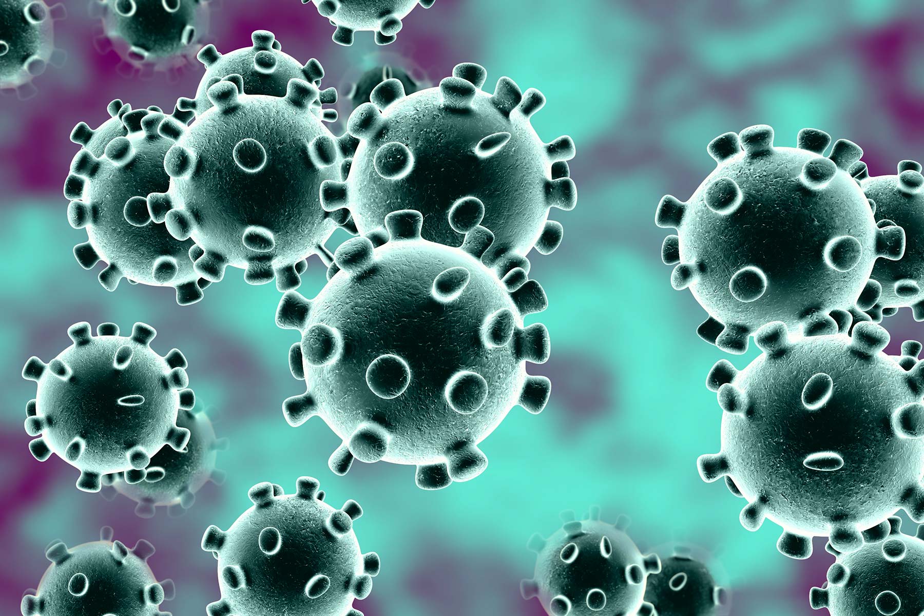 coronavirus.jpg