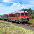 #780 - Az M41 2112