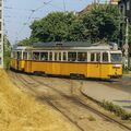 #1585 - a 67-es villamos