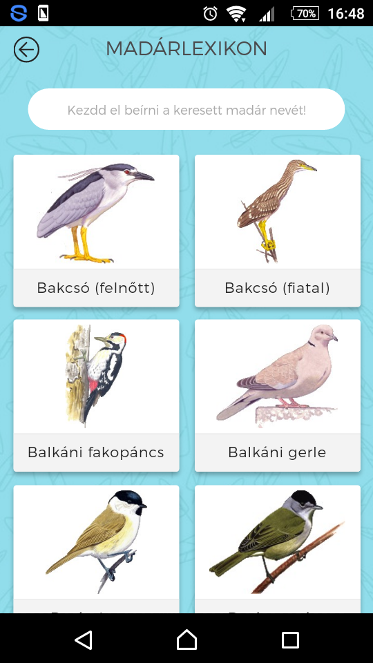 madar.png