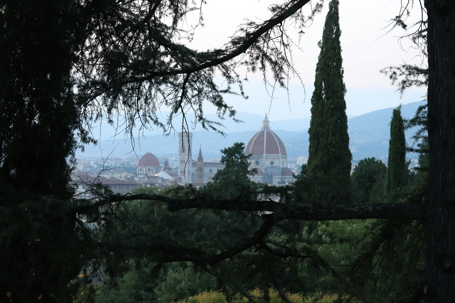 firenze036.JPG