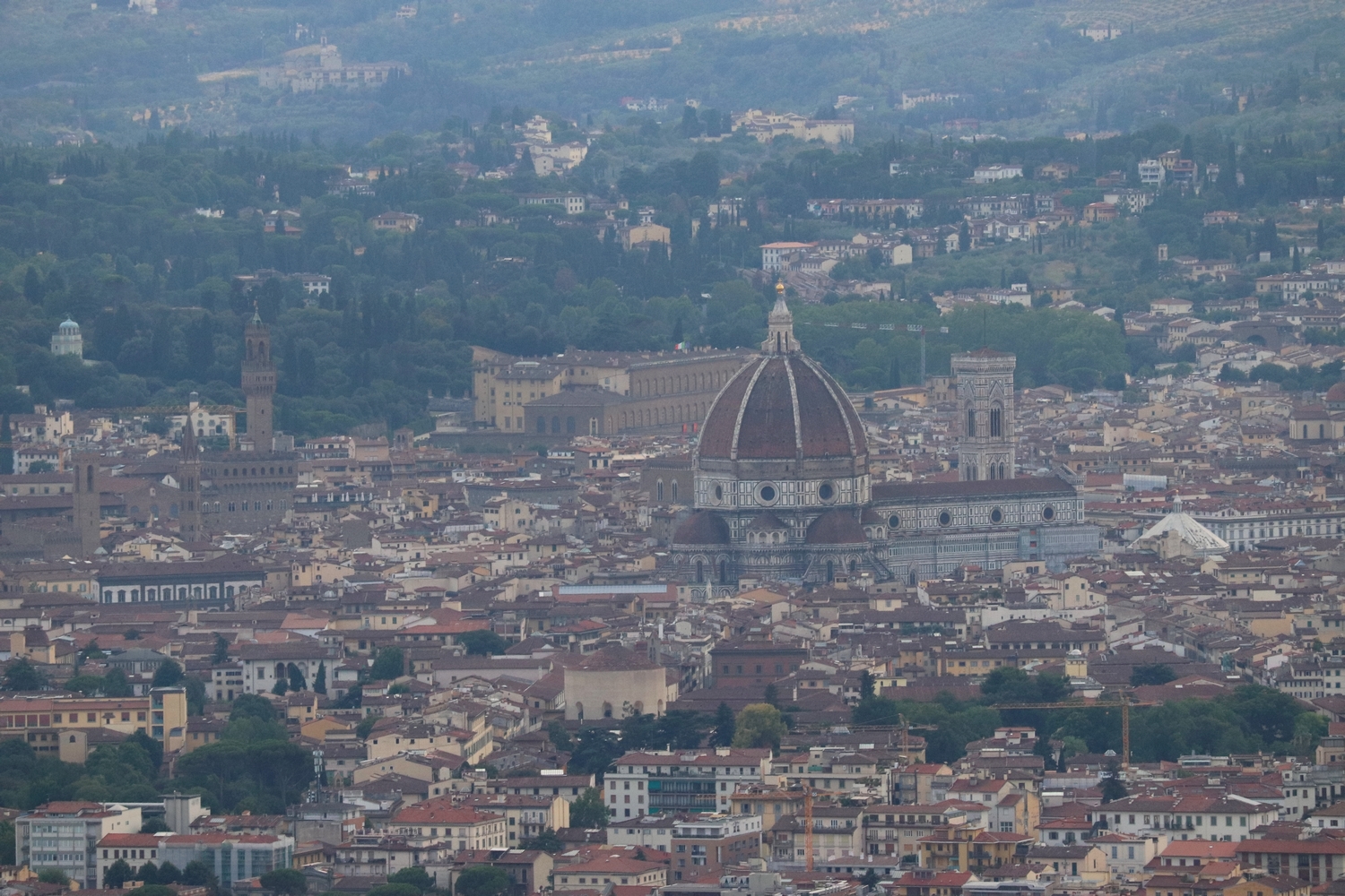 firenze118.JPG