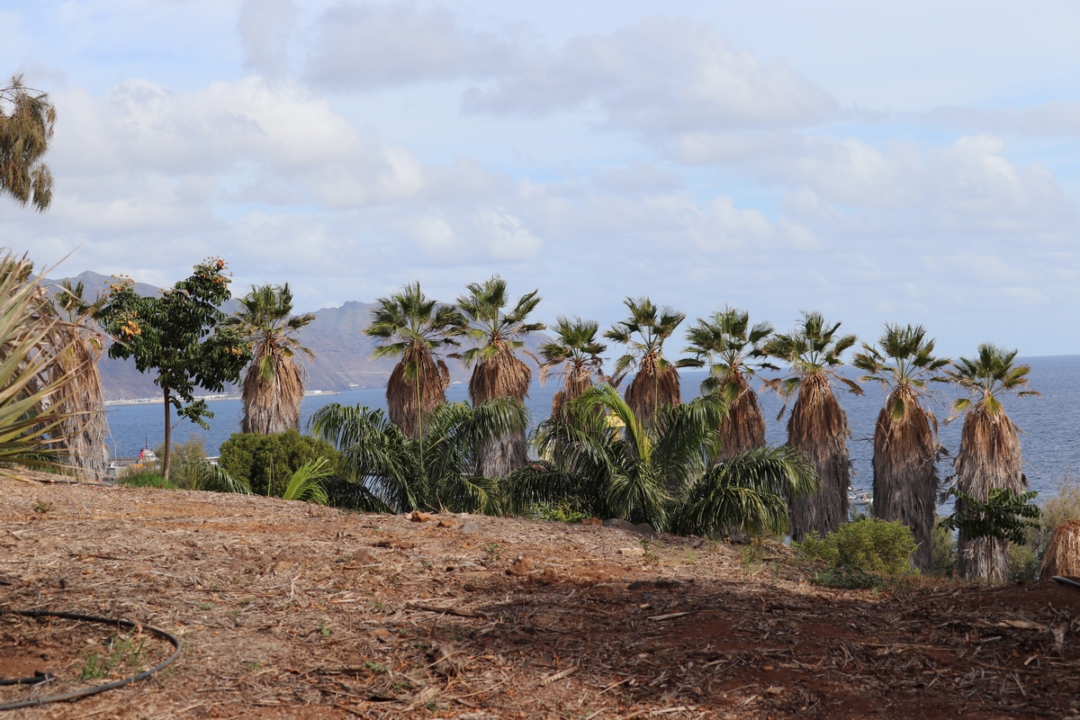 tenerife_59.JPG