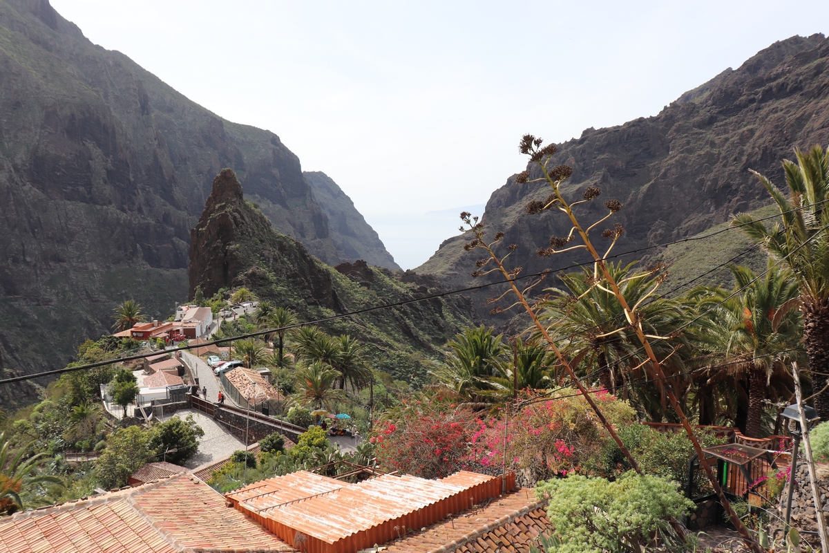 tenerife_87_1.JPG