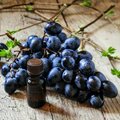 Avokádó- és szőlőmagolaj olaj - miért ilyen népszerűek?