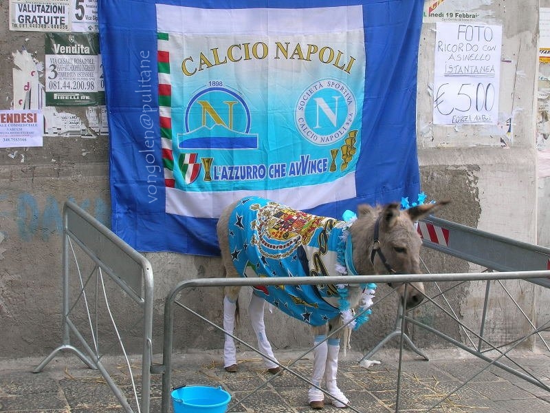 ciuccionapoli.jpg