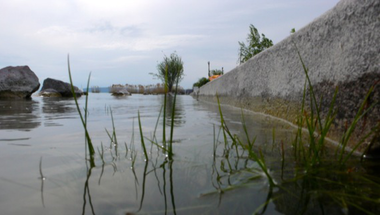 Így eresztik le a Balaton vizét