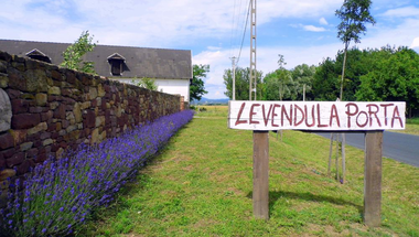 Levendula Porta: a farm, ahol élnél