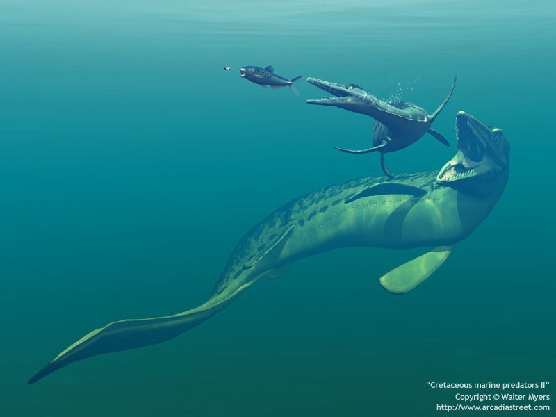 cretaceous_marine_predators2_800.jpg