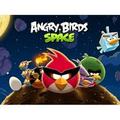 Angry birds space