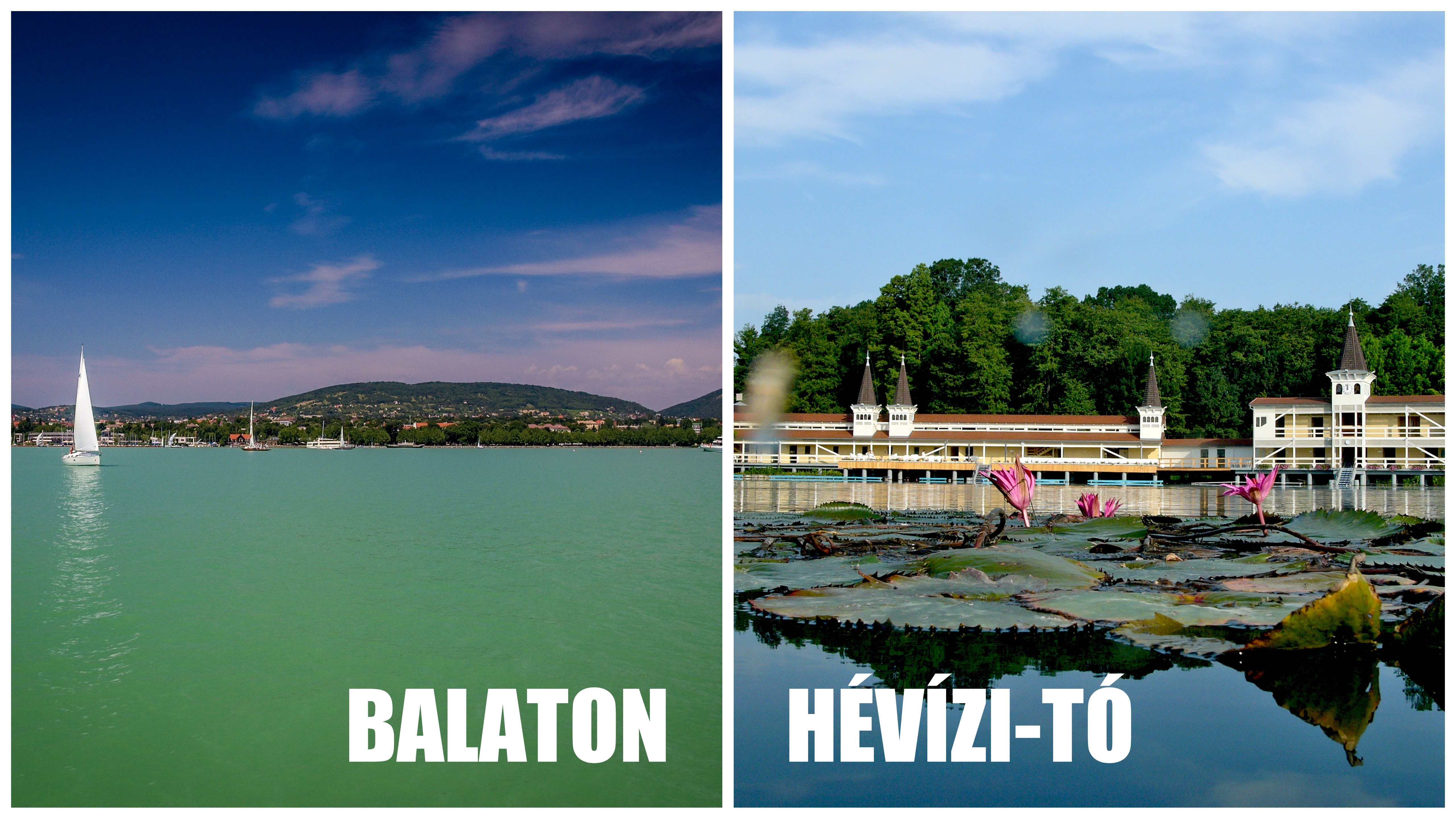 Hévízi-tó vs Balaton? 15 tény, amit tudni érdemes!