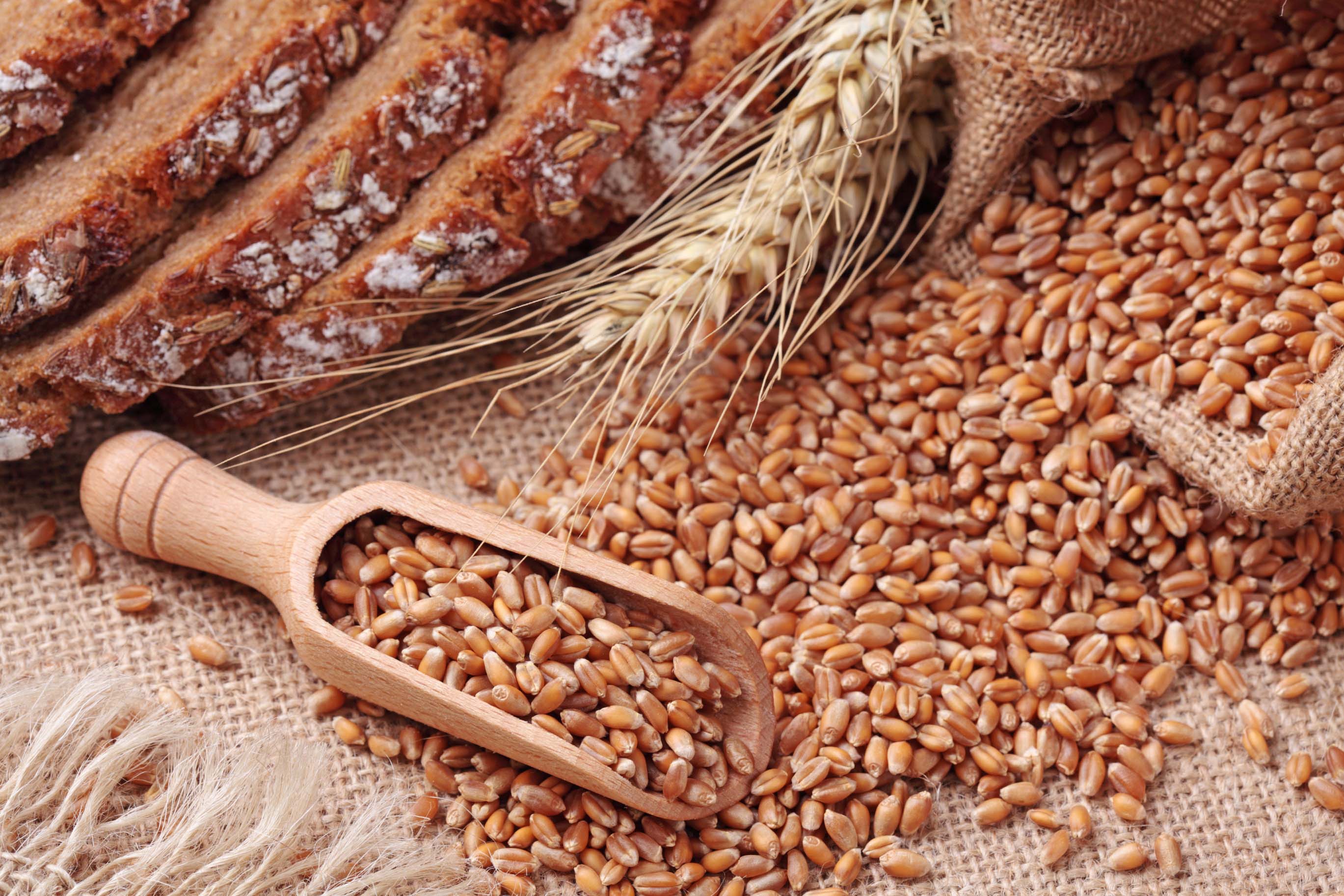 Health-Benefits-of-Whole-Grains.jpg