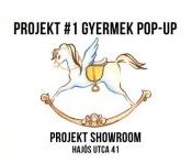 PopUp-project showrrom.JPG