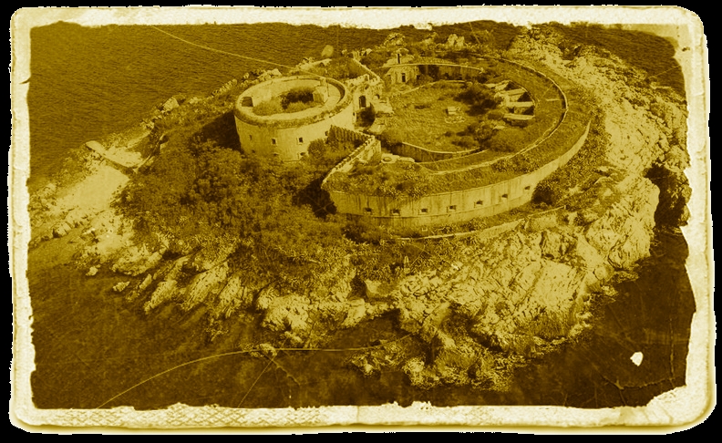 mamula1.jpg