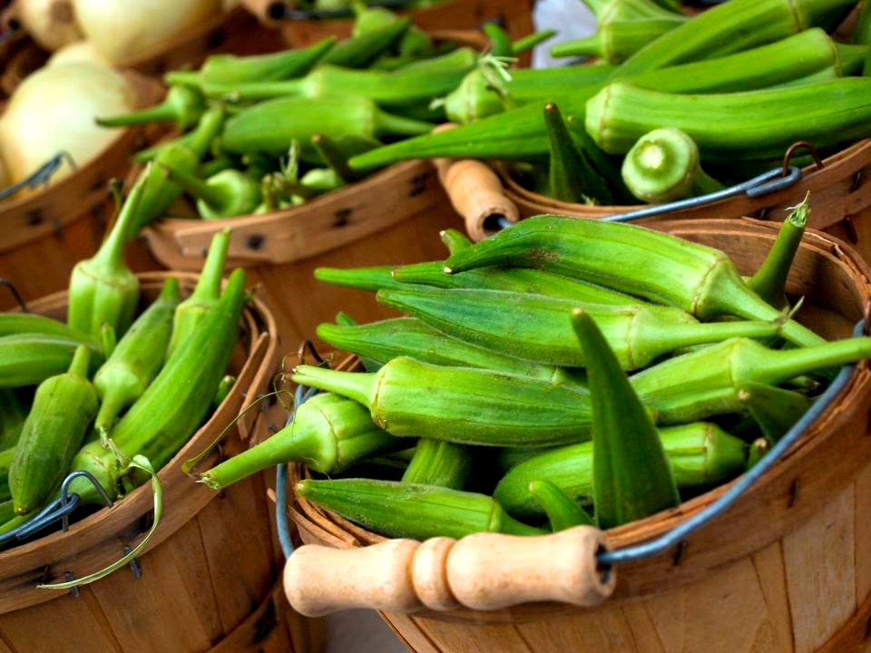 the-secret-history-of-okra-1.jpg