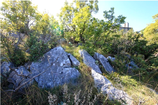 svetivid4_tumulus.jpg