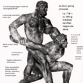 Grafikus rendszerezés, figyelem felhívó poszter az ókori görög olimpiai játékok kapcsán