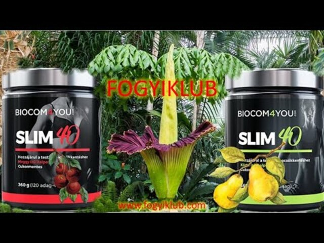 SLIM40