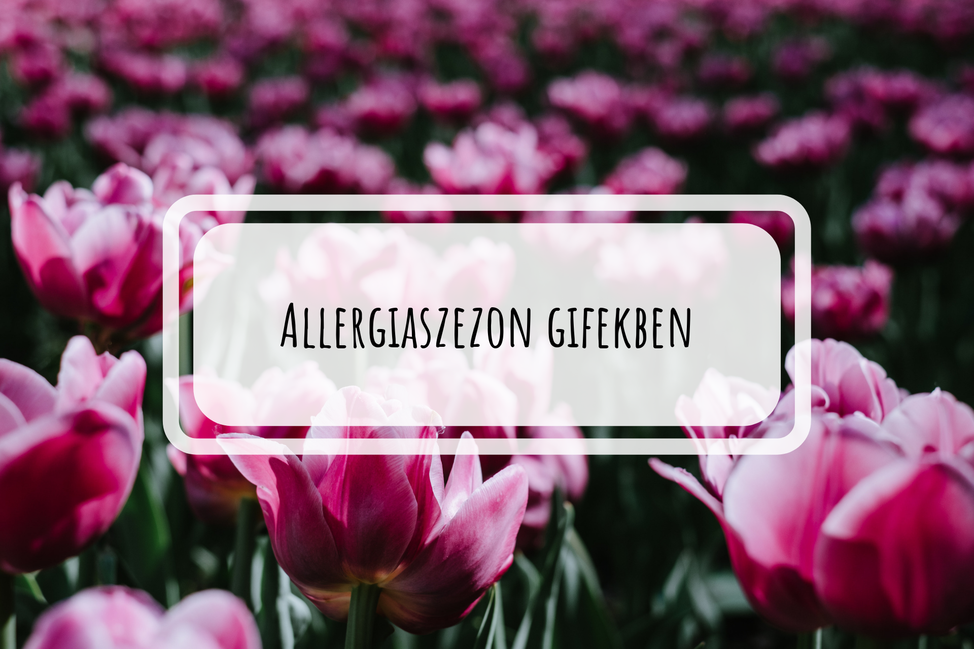 allergiaszezon_gifekben.png