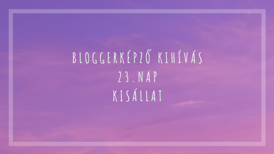 BloggerKépző kihívás 23. nap