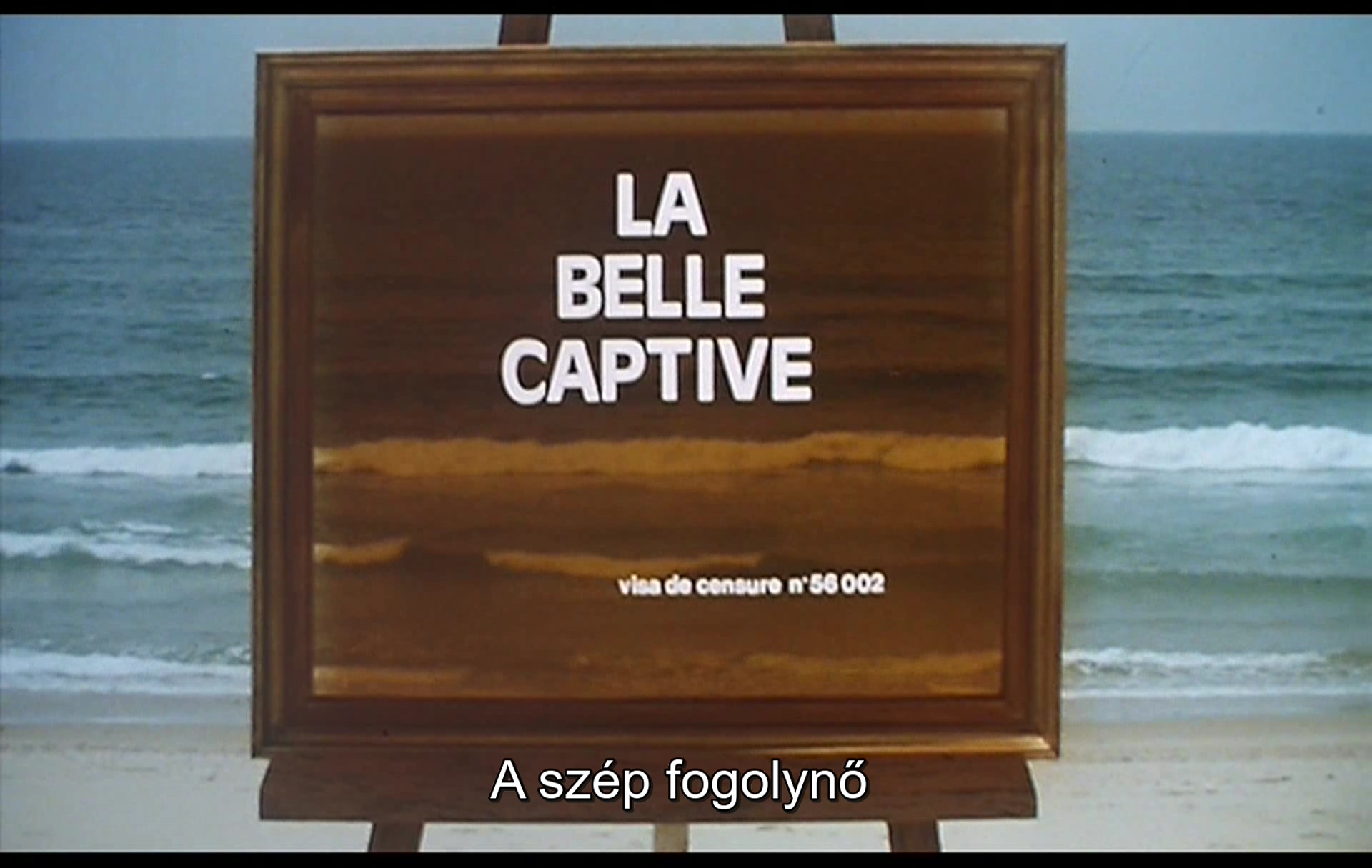 la_belle_captive_2020-03-01-08h20m35s436.jpg