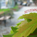Indafotó NAGYKÉPES háttérképek: november